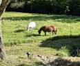 Luxurious equestrian property  Dr&ocirc;me