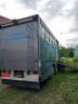 Horsebox NON-HGV Volvo FL 10 1989 Used