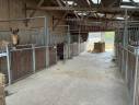 Riding school  Morbihan