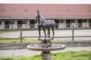 Equestrian property  Seine-et-Marne