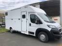Horsebox HGV AP Petit Peugeot Boxer L4  2020 New