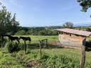 Equestrian farm  Rh&ocirc;ne