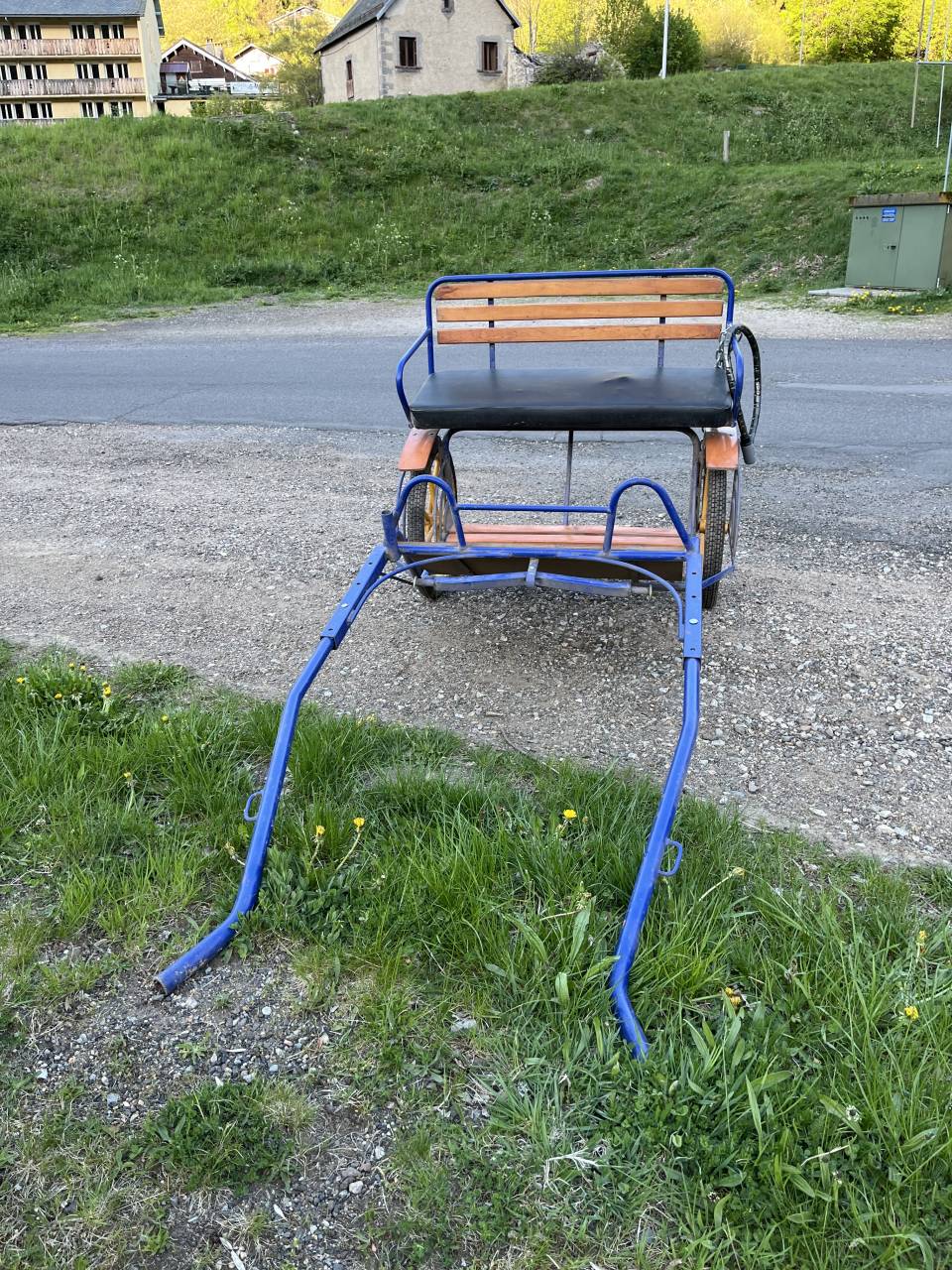 Carriage - Pony sulky - Other brand -  