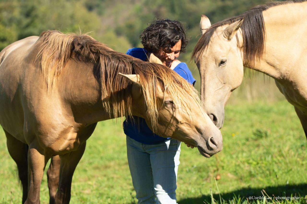 Safran des Ocres - Lusitano 2023