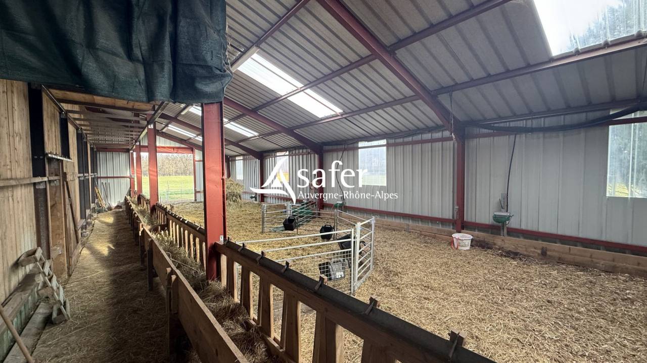Other country property  Allier