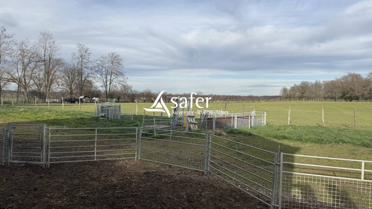 Other country property  Allier