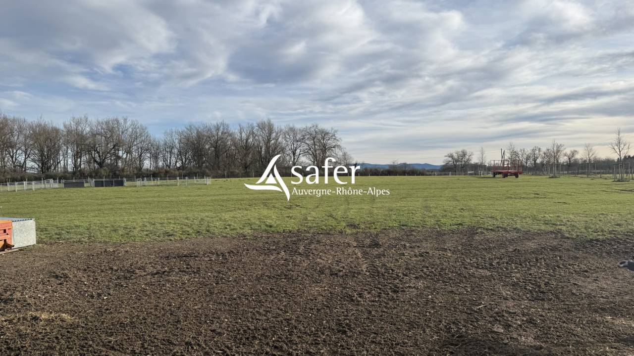 Other country property  Allier