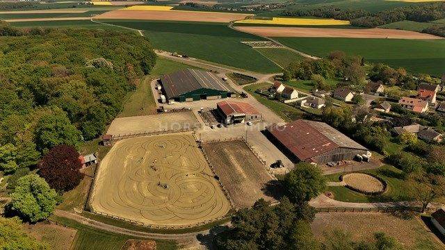 Stud farm  Oise