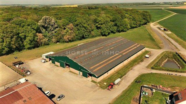 Stud farm  Oise