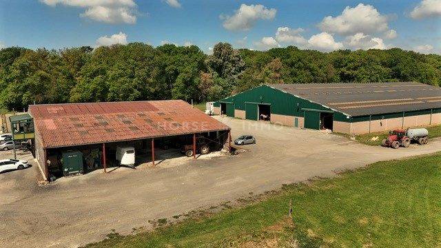 Stud farm  Oise