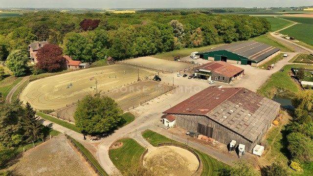 Stud farm  Oise