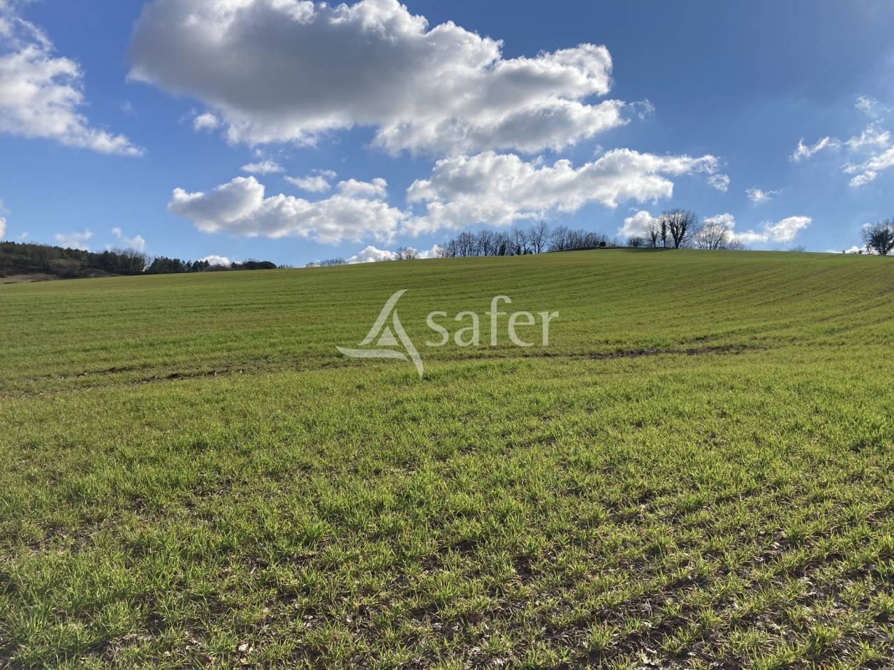 Other agricultural property  Lot-et-Garonne