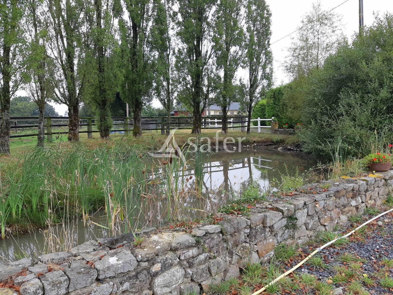 Sheep farm  Mayenne