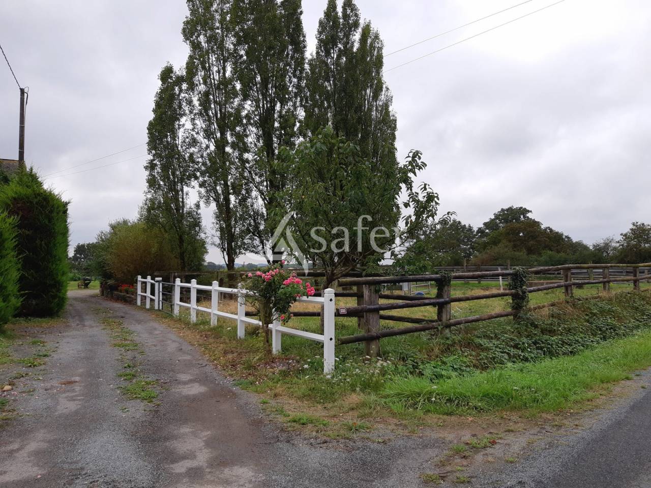 Sheep farm  Mayenne
