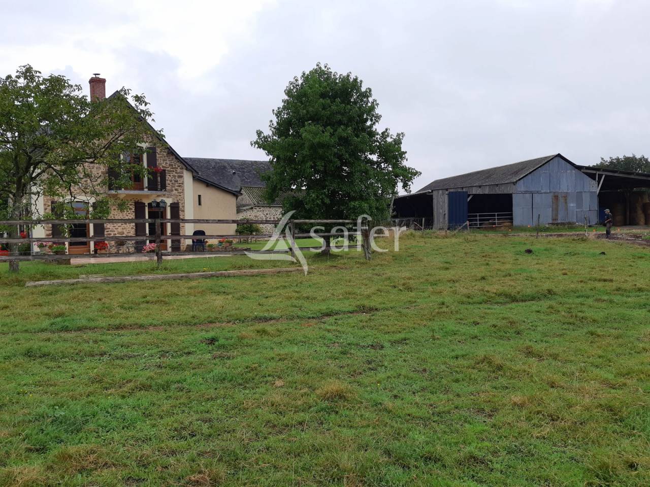 Sheep farm  Mayenne