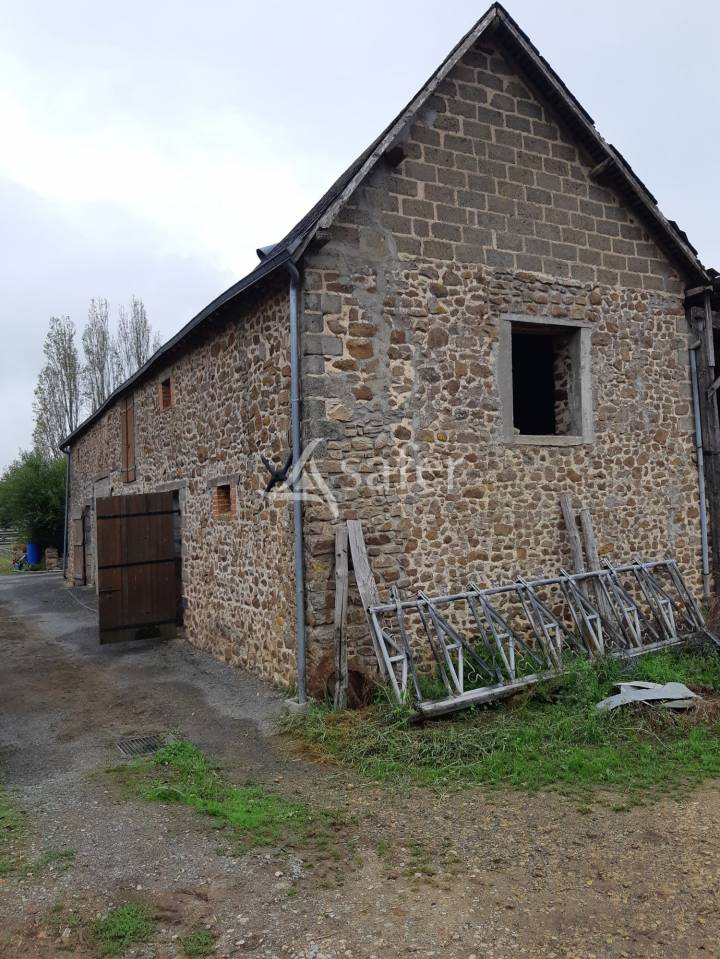 Sheep farm  Mayenne