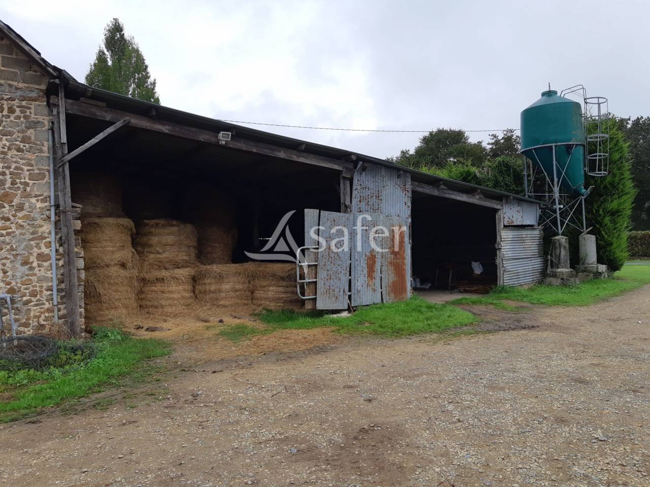 Sheep farm  Mayenne