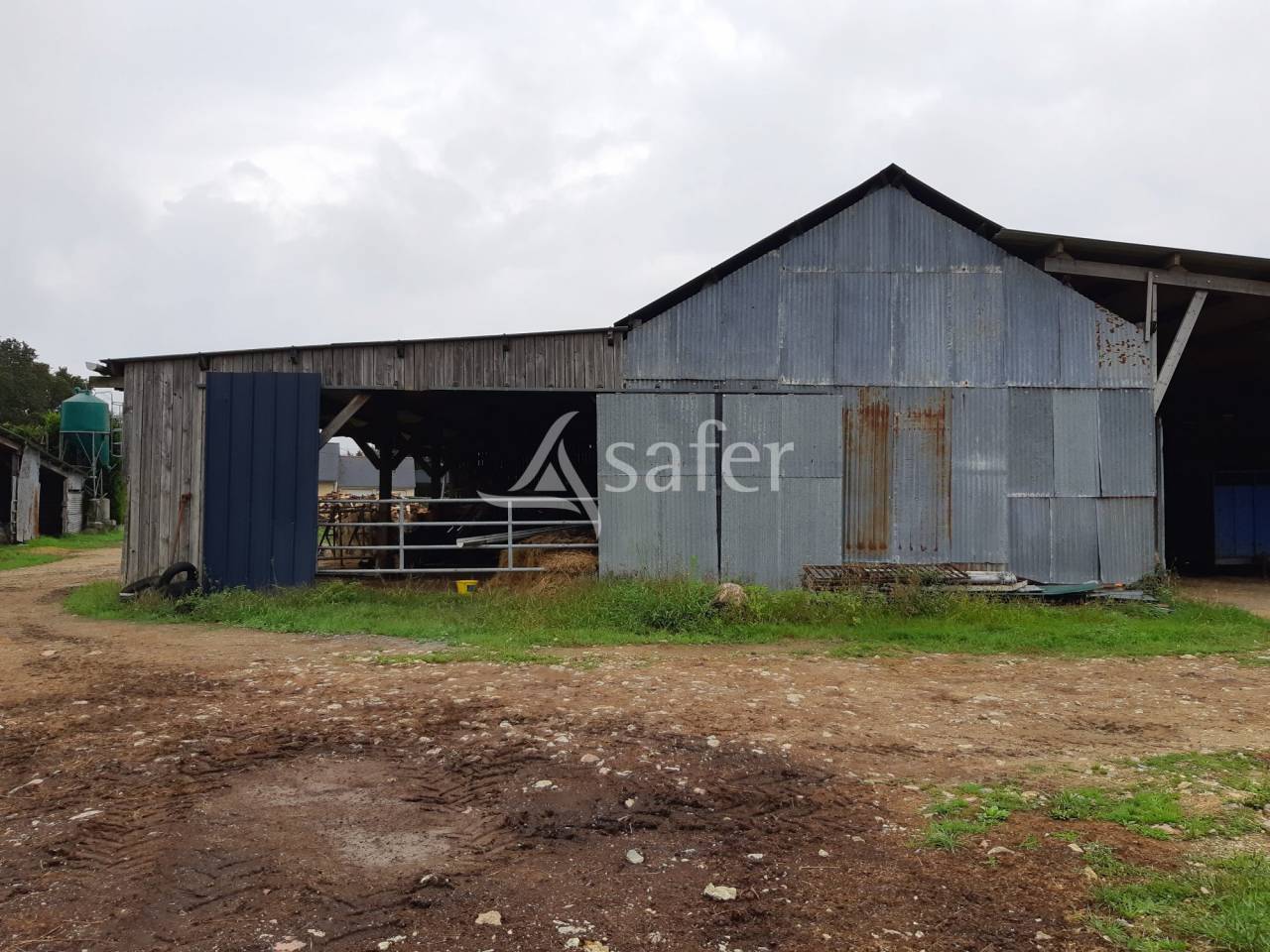 Sheep farm  Mayenne