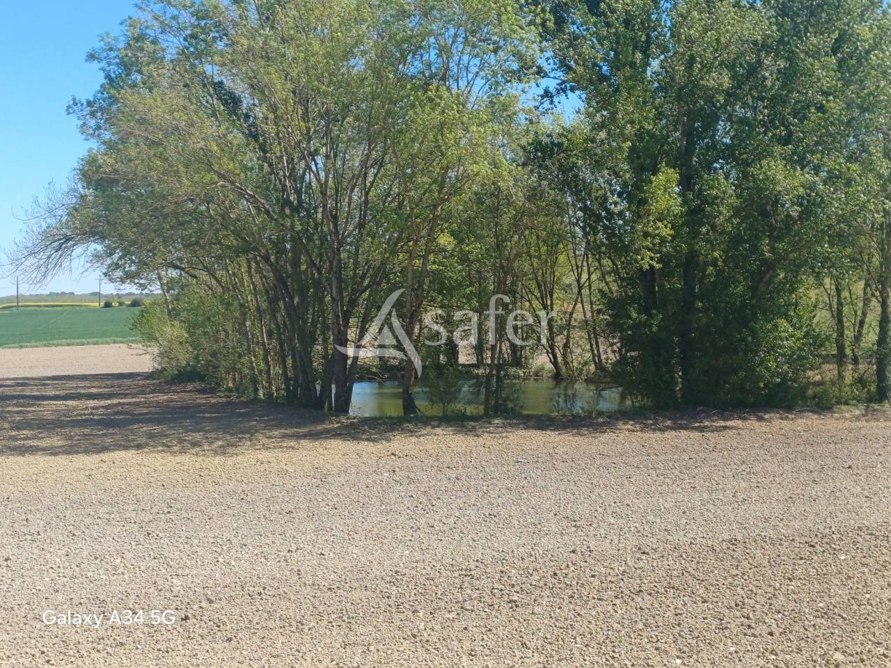 Other agricultural property  Lot-et-Garonne