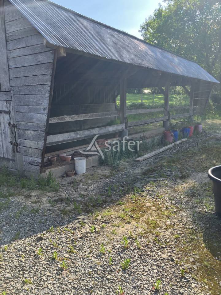 Equestrian property  Mayenne