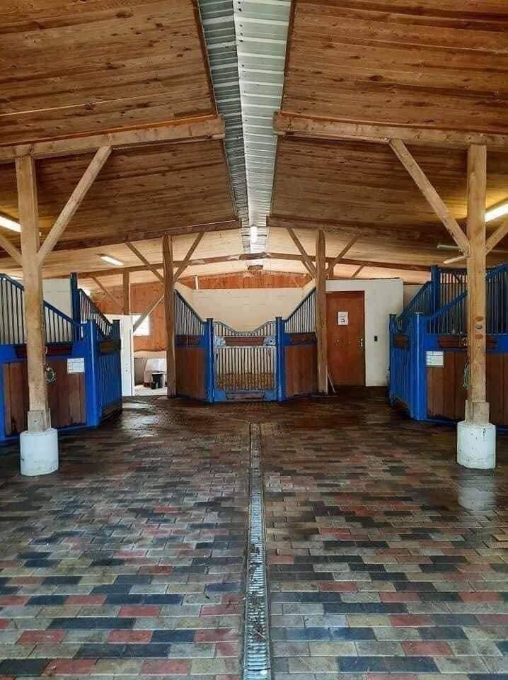 Equestrian property  Gironde