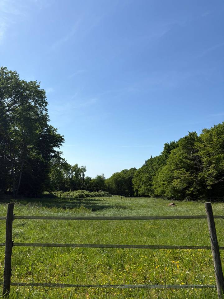 Equestrian property  Gironde