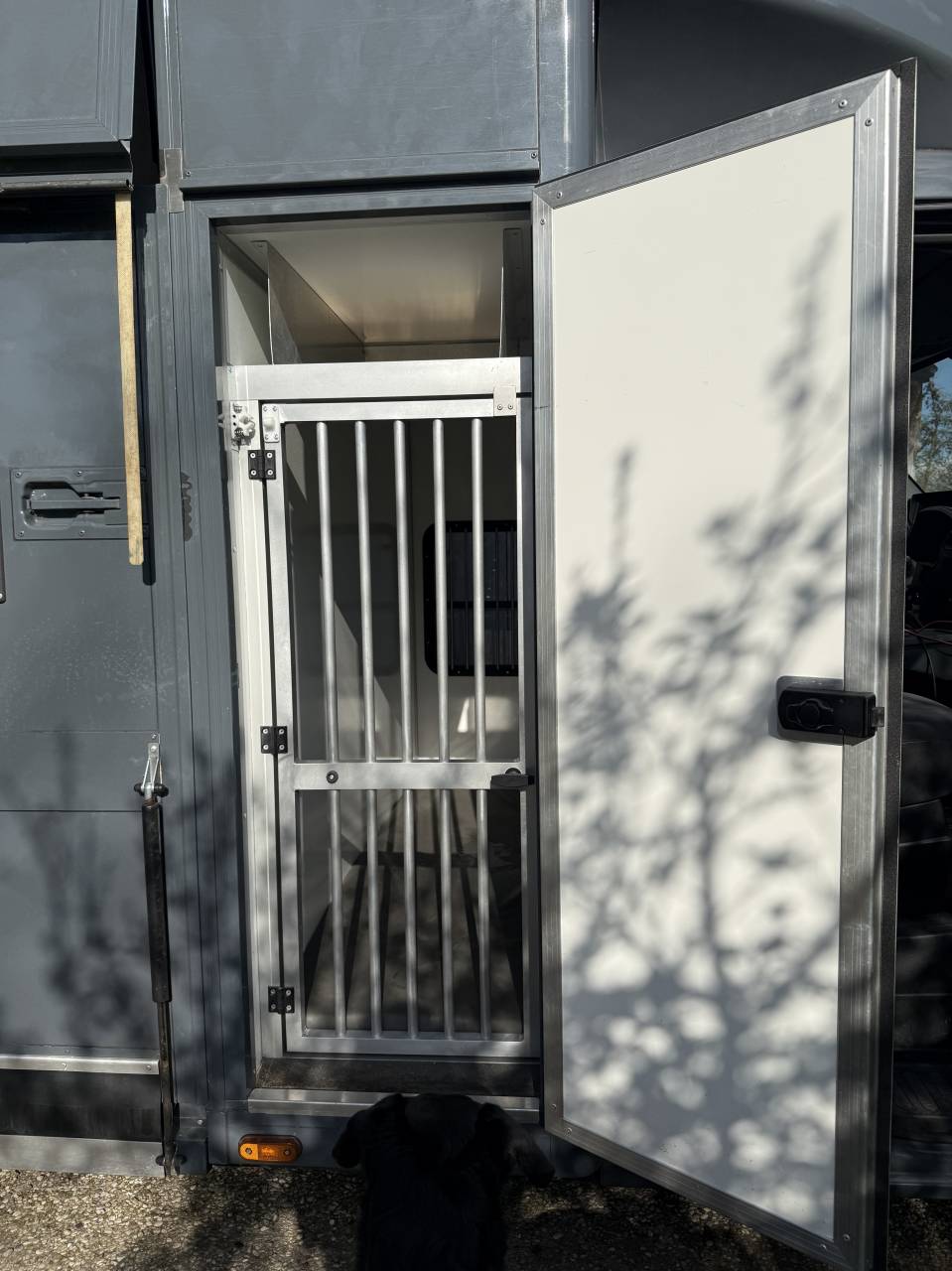 Horsebox HGV Renault Master 2022 Used
