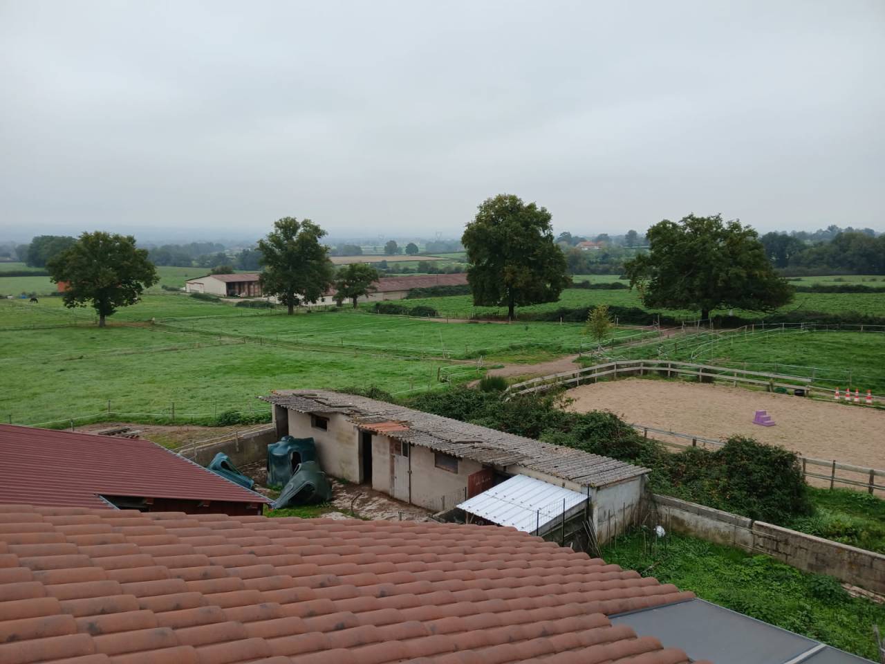 Equestrian farm  Loire