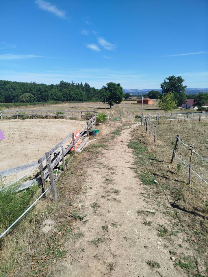 Equestrian farm  Loire