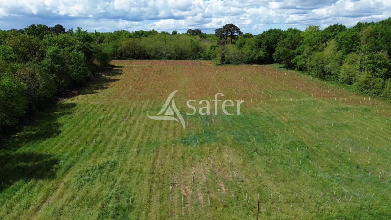 Other country property  Gironde