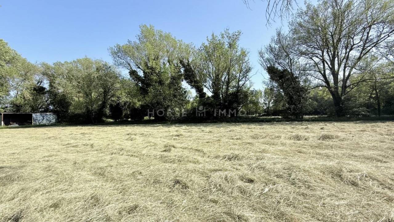 Equestrian property  Bouches-du-Rh&ocirc;ne