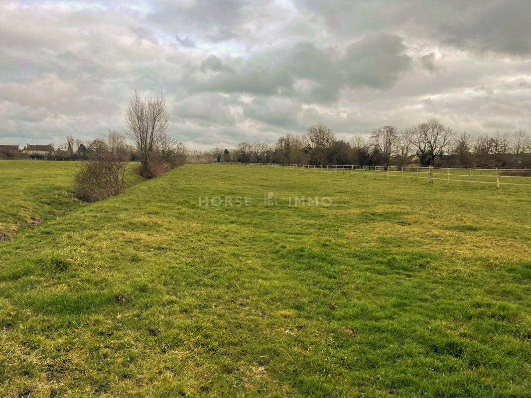 Equestrian property  Yvelines
