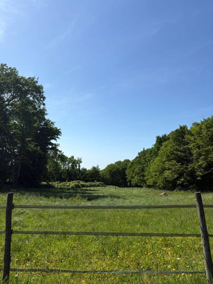 Equestrian property  Calvados