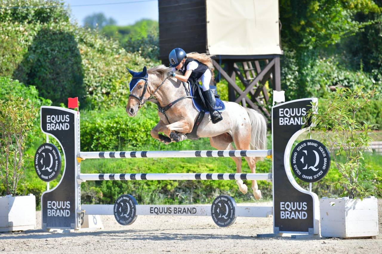Mare Origin Recorded For sale 2019 Roan