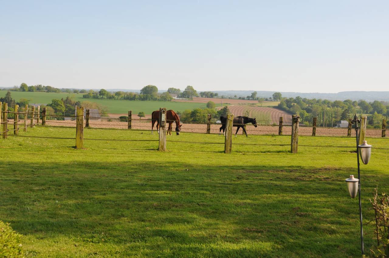 Luxurious equestrian property  Calvados