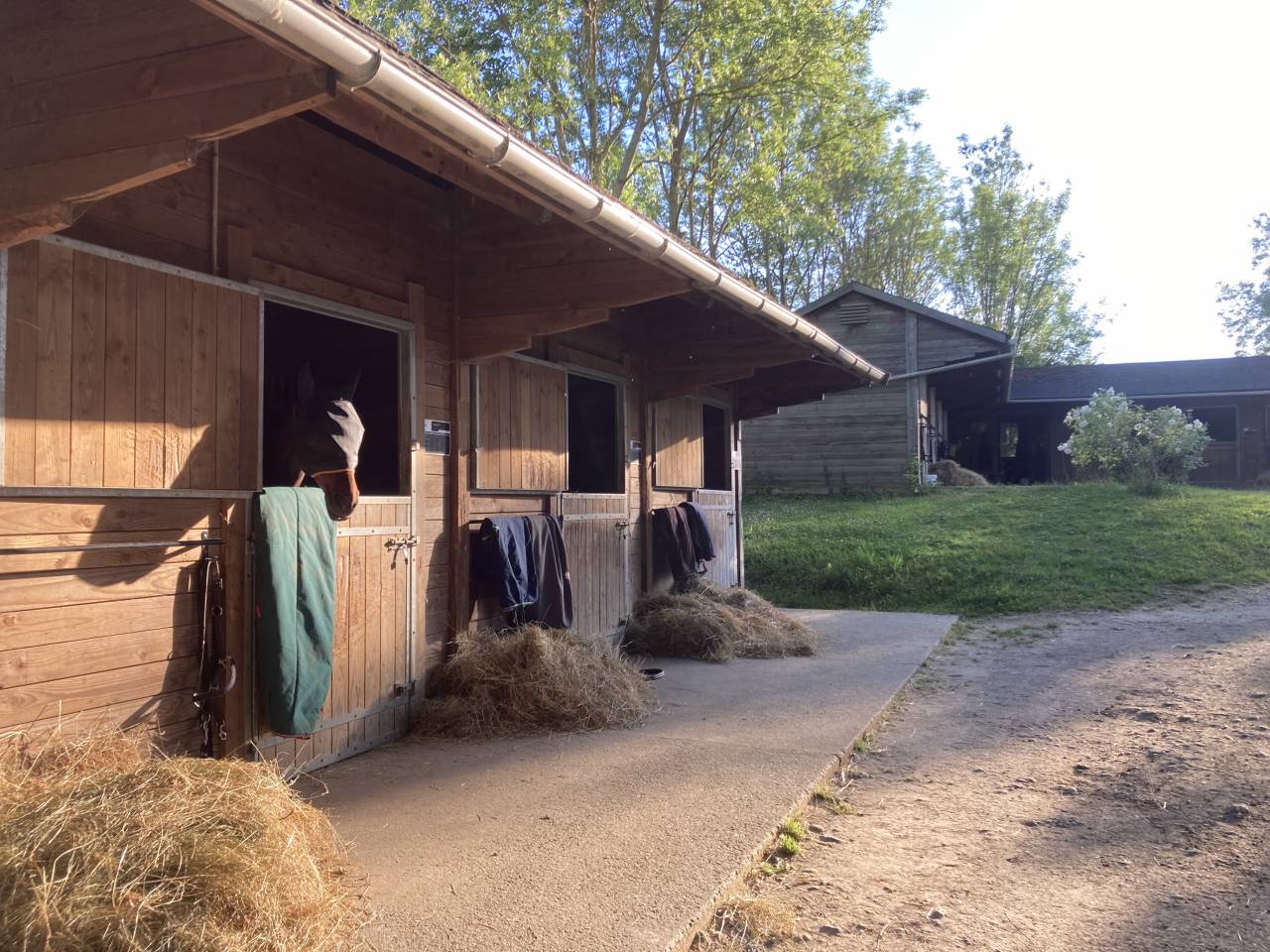 Livery yard  Val-d'Oise