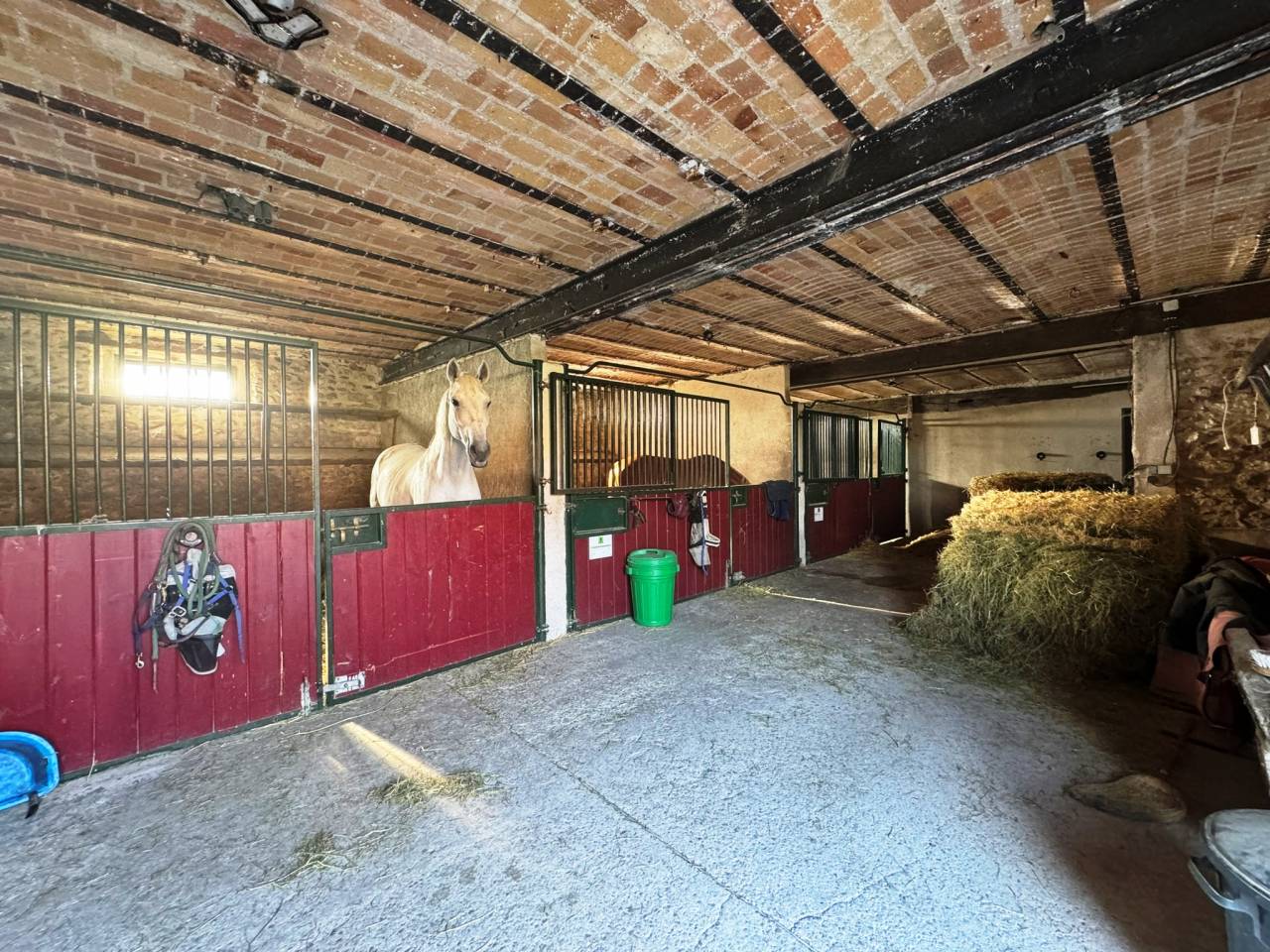 Livery yard  Seine-et-Marne