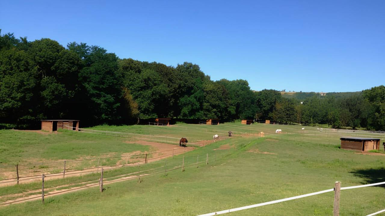 Equestrian property  tarn