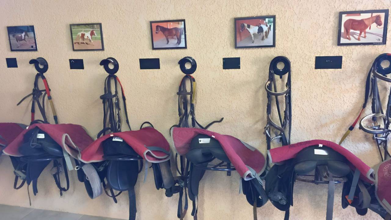 Equestrian property  tarn