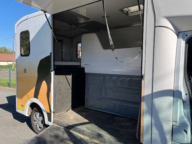 Horsebox HGV Paragan Master 2016 2016 Used