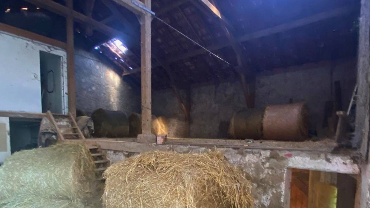 Equestrian property  Lot-et-Garonne