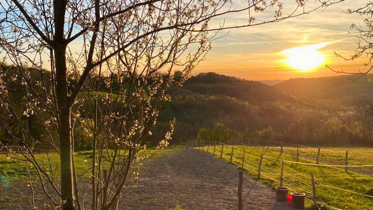 Equestrian property  Lot-et-Garonne