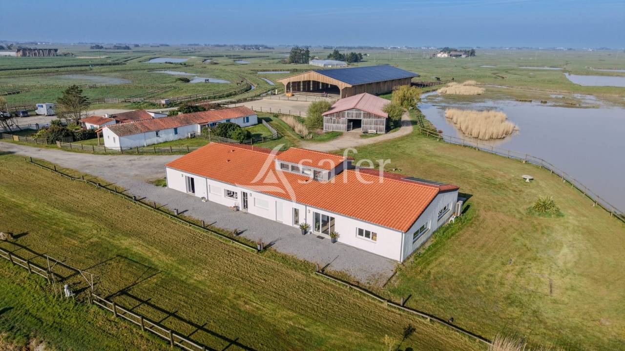 Equestrian property  Vend&eacute;e