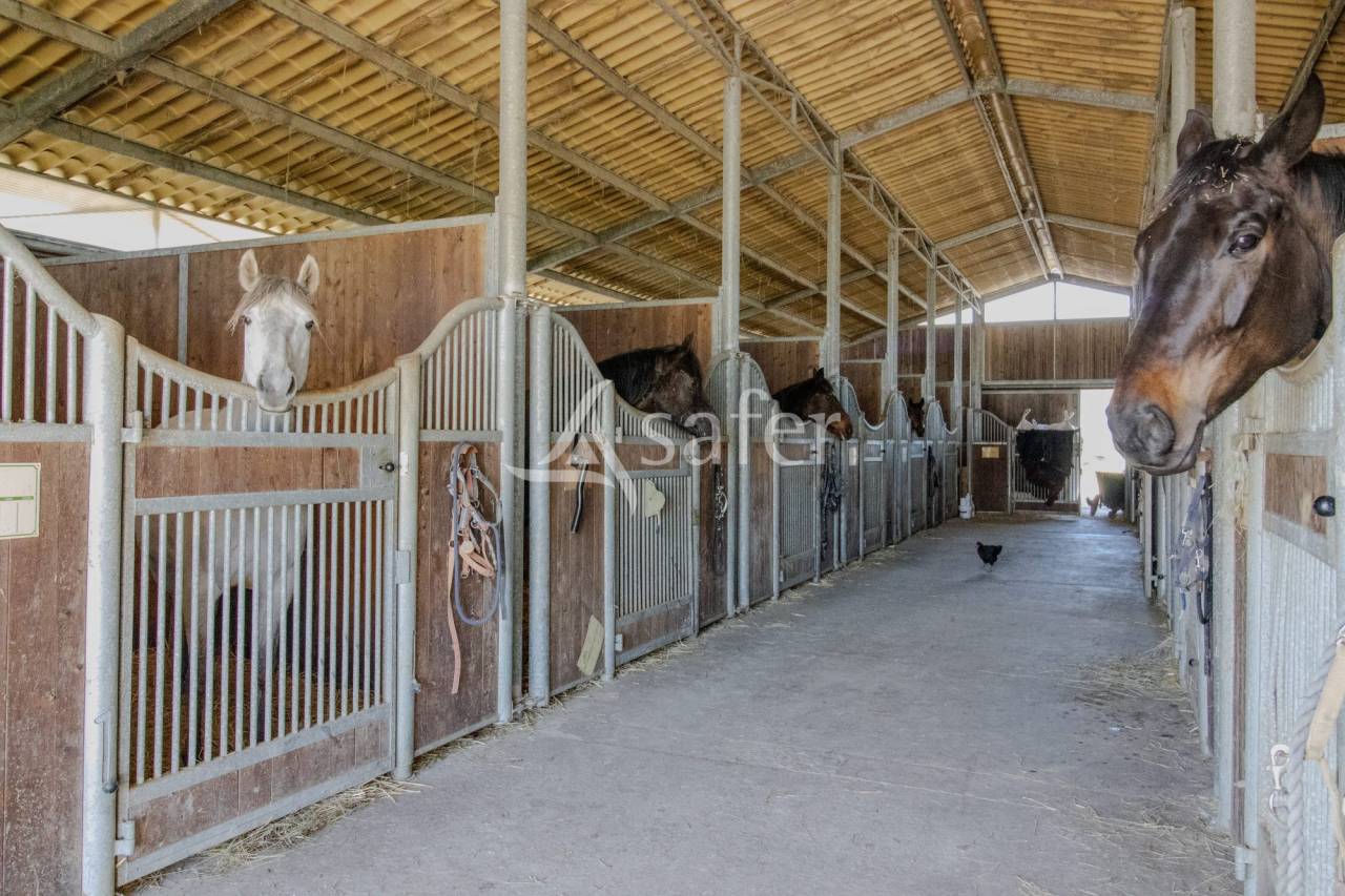 Equestrian property  Vend&eacute;e