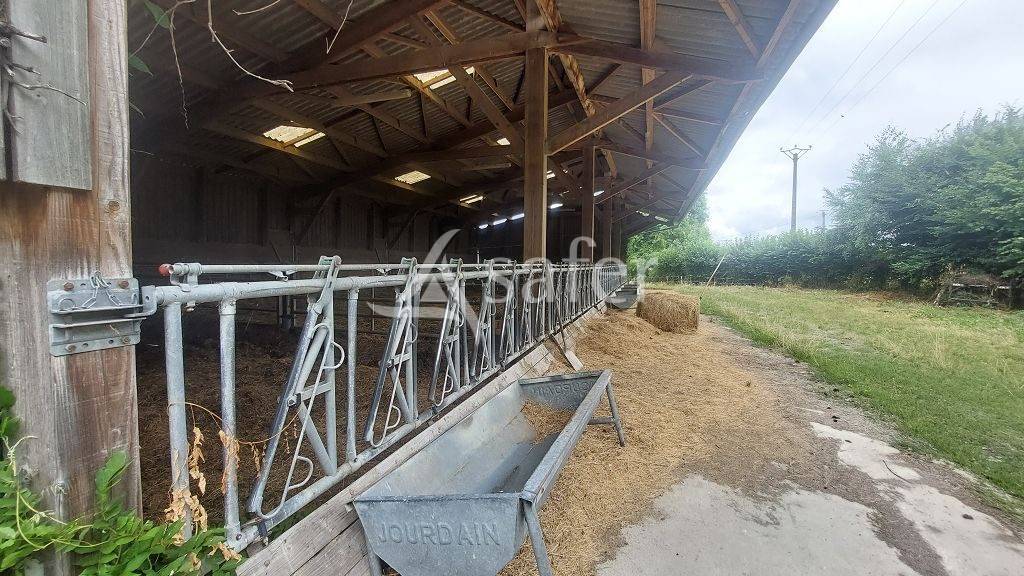 Sheep farm  Creuse