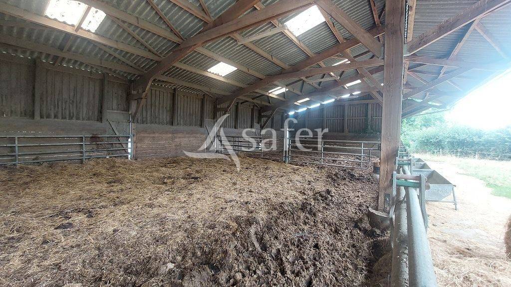 Sheep farm  Creuse