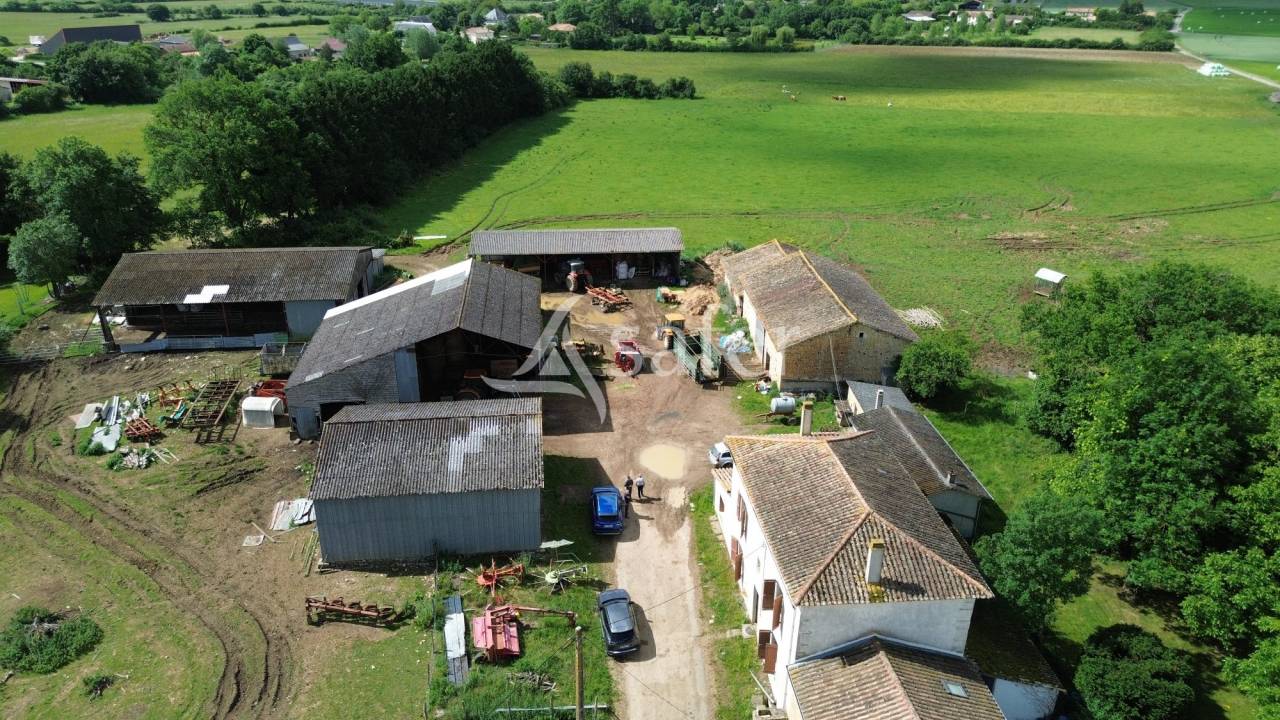 Sheep farm  Deux-S&egrave;vres
