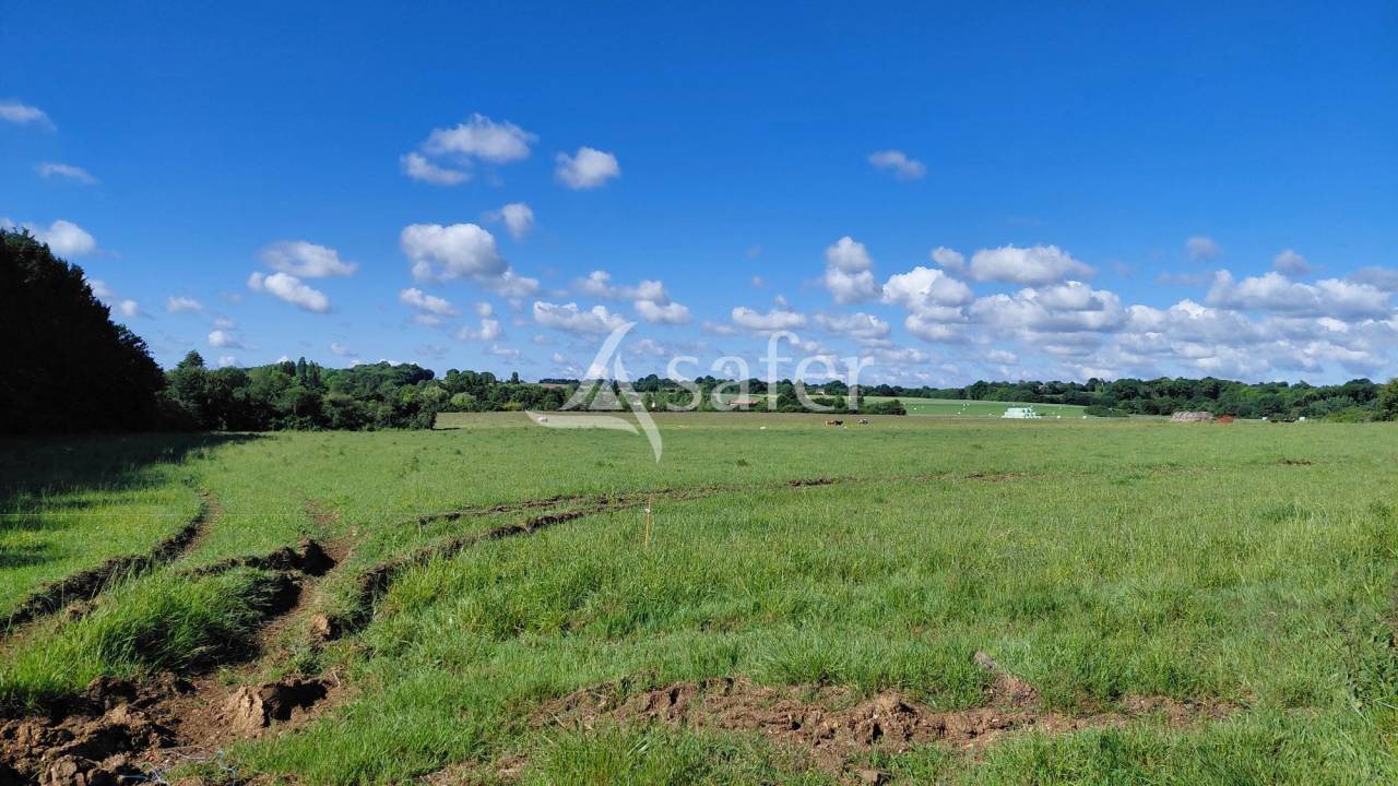 Sheep farm  Deux-S&egrave;vres