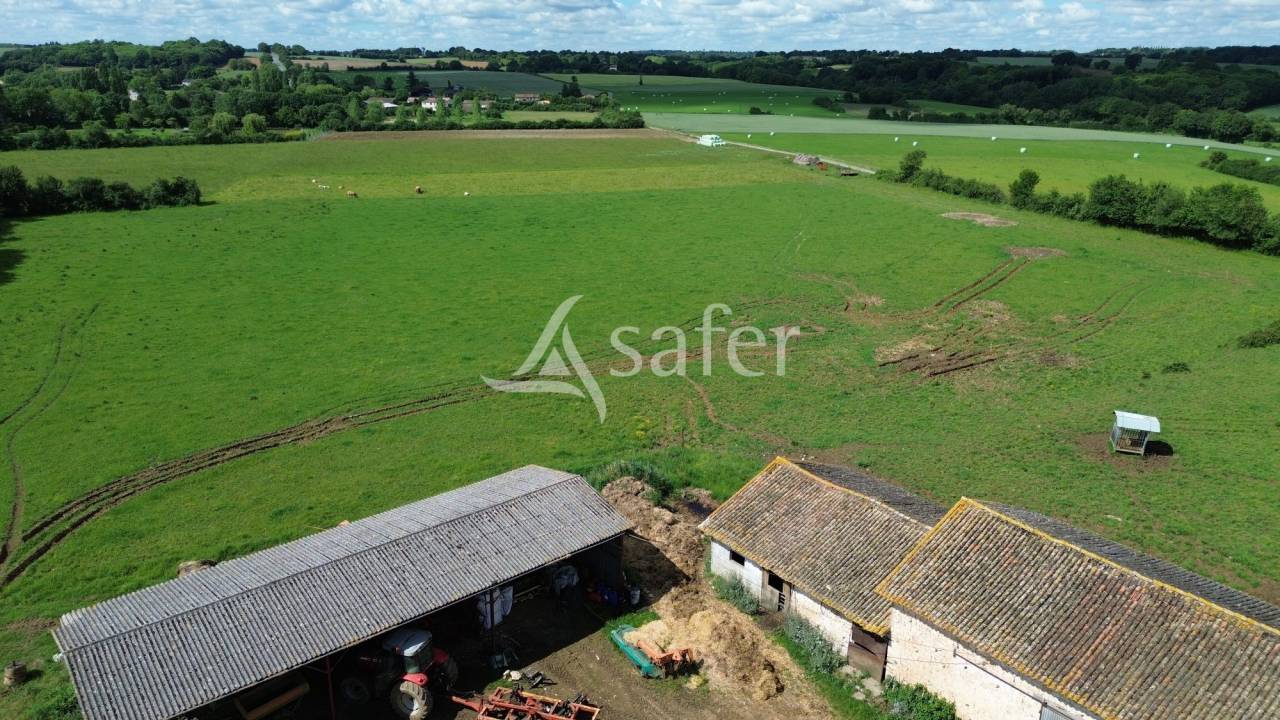 Sheep farm  Deux-S&egrave;vres