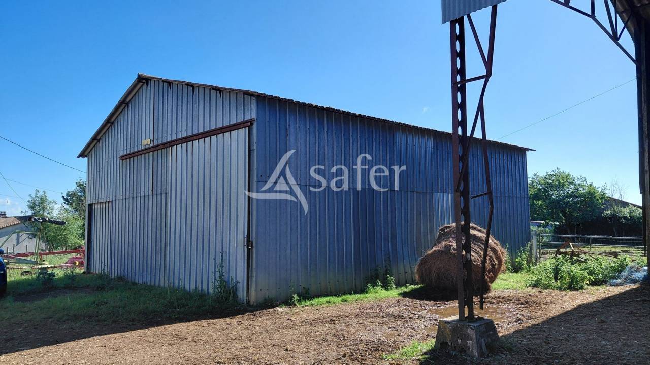 Sheep farm  Deux-S&egrave;vres